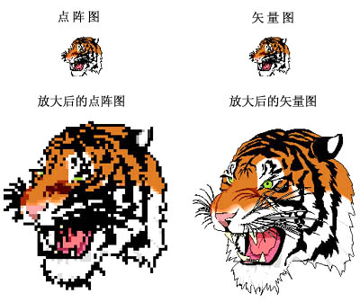 点阵图与矢量图的两个文件的区别（请注意细节部分）